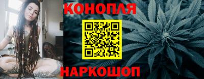дмт Новозыбков