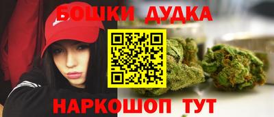 индика Обнинск